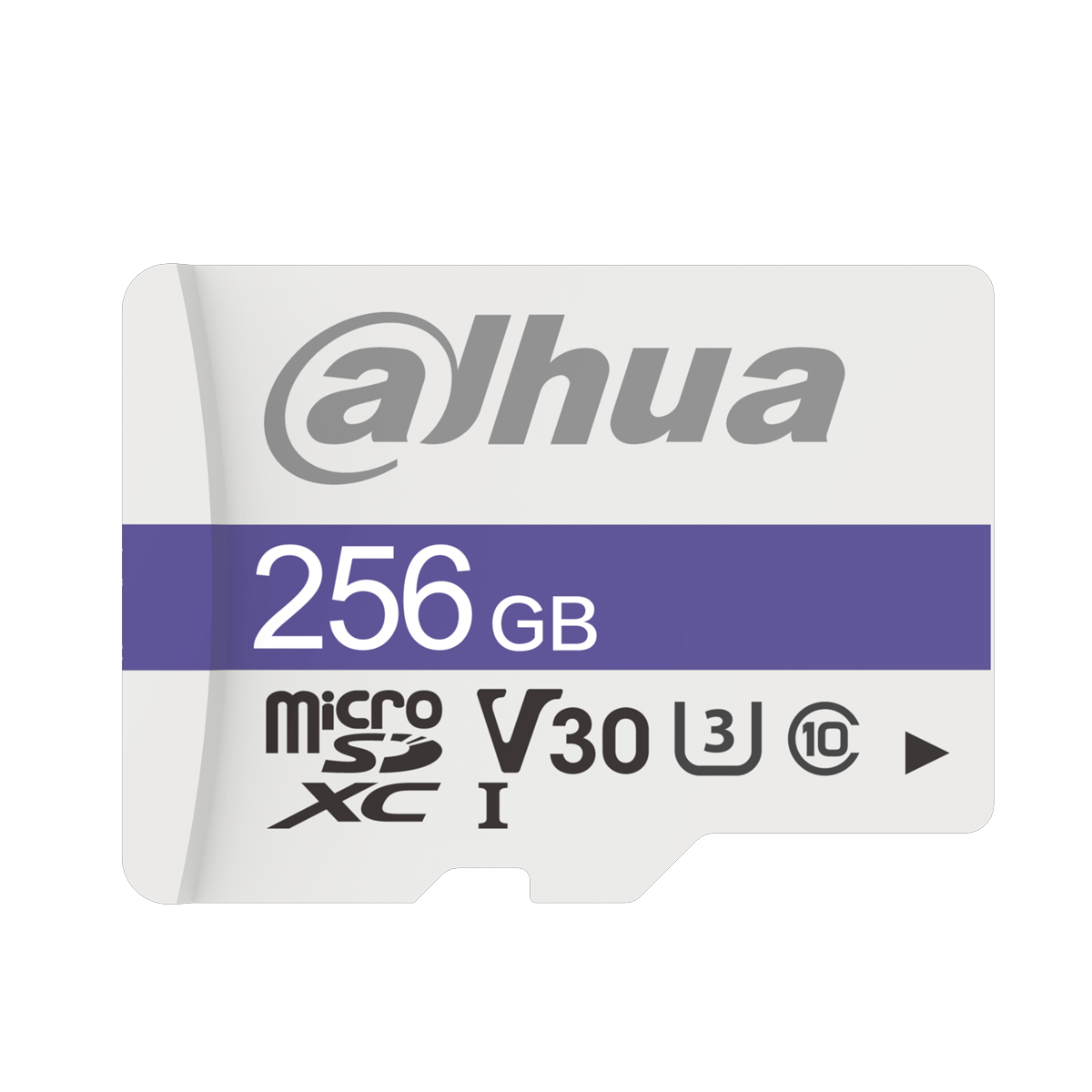 Карта памяти Dahua DHI-TF-C100/256GB, microSD, 256 Гб, Class10 orig_49180