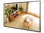 Экран Hikvision DS-D6043UN-B 43" 88_88_40375