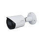 IP видеокамера Dahua DH-IPC-HFW2431SP-S-0280B-S2 88_88_37407