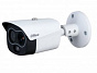 Тепловизионная видеокамера Dahua DHI-TPC-BF1241-B10F12-DW-S8 88_88_64926