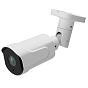 IP видеокамера Owler iX550 (2.7-13.5) 88_88_38083