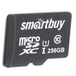 Карта памяти micro SD 256Gb SmartBay (10 класс)
