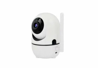 IP видеокамера Owler Smart Home RoboCam-2.1